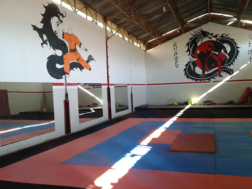 Salle De Sport C.t.zeghaia Kung Fu