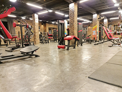 Stargym.Dz / salle de sport _ ain naadja
