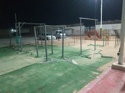 Calisthenics