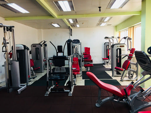 Dragons Den Gym