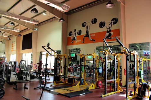 Spartan Fitness