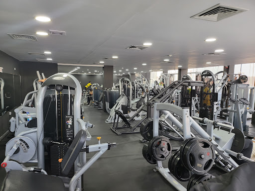 Hammer Gym