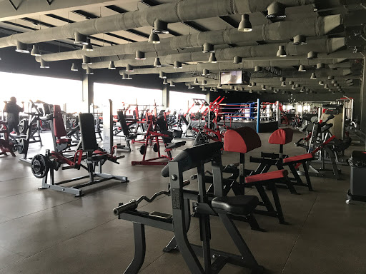 Iron Man Gym