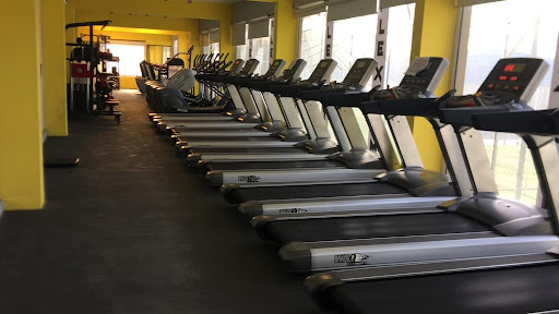 Flex Gym center