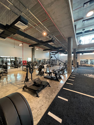 Alnakheel Premium Fitness Al liwan-