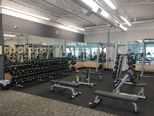Anytime Fitness