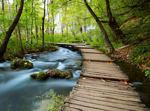 River Roots Wellness