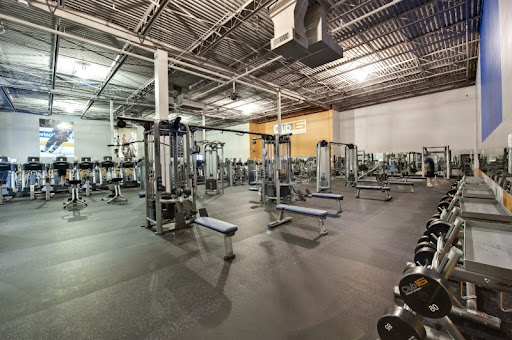 Club16 Trevor Linden Fitness