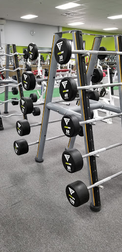 Everything Fitness