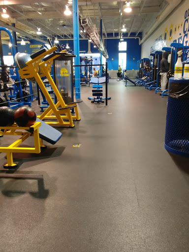 Buzzfit - Kirkland