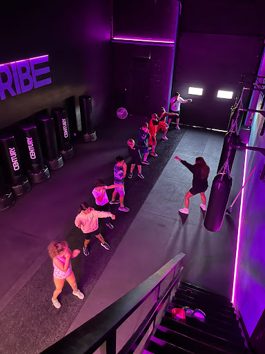 Tribe Studios Personal Training & Boxing