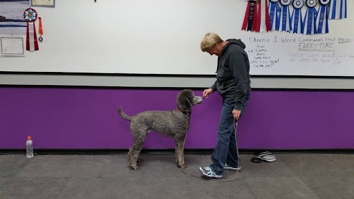 Fit Pets Dog Sports Association