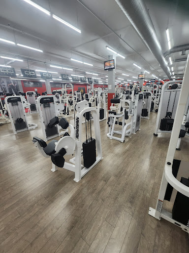 Body Vision Fitness Inc