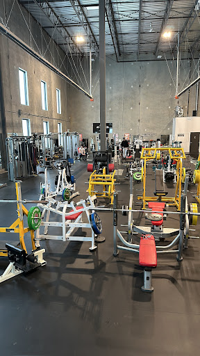 All Elite Fitness