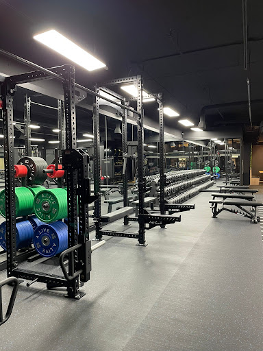Alive Fitness and Wellness