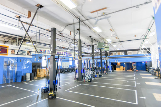 Madlab School of Fitness
