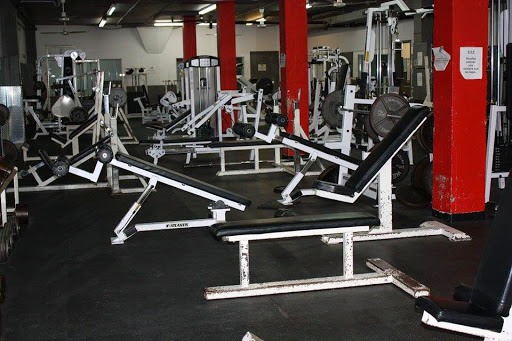 Gym Expert