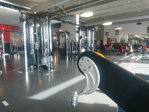 PISE (Pacific Institute for Sport Education)