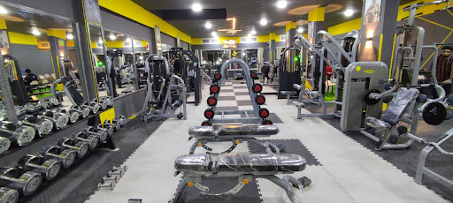 Family Gym