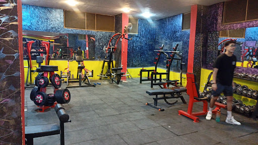 FORMA GYM