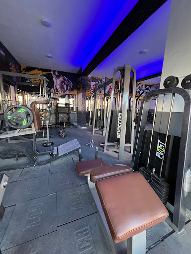 Agamista gym