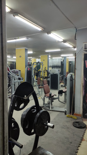Van dam Gym