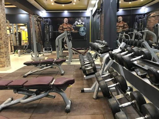 GORILLA GYM ACADEMY