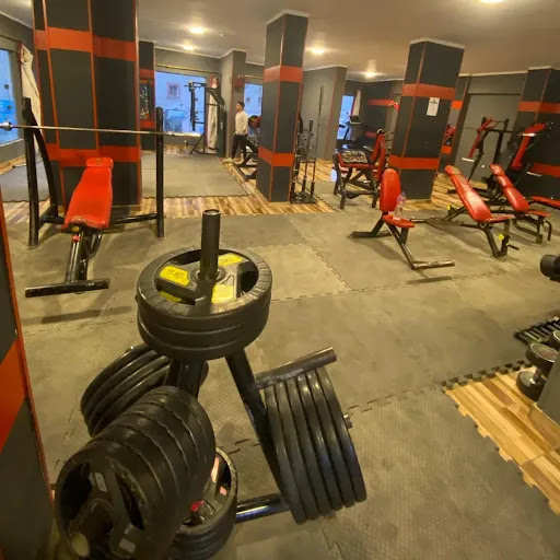 Gorilla gym