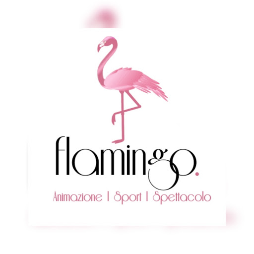 Flamingo academy