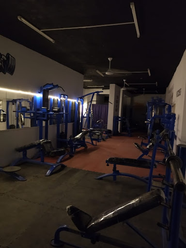 Iron paradise GYM