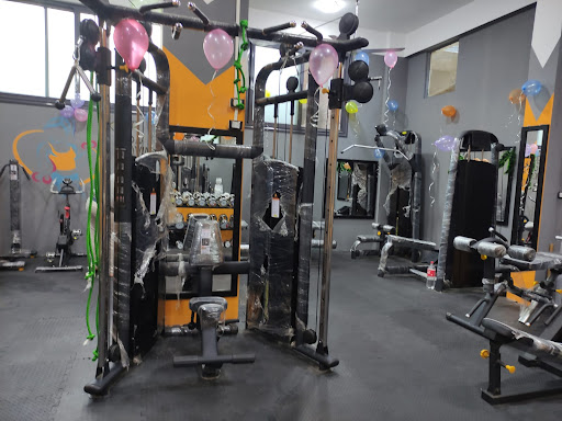 FOX GYM