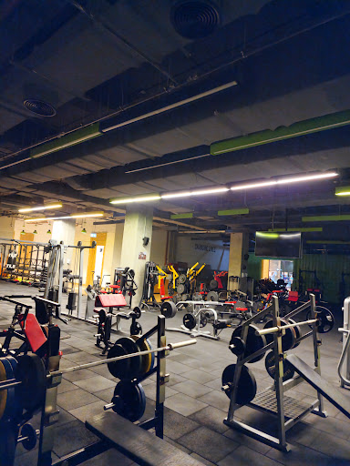 Ignite Egyptypt