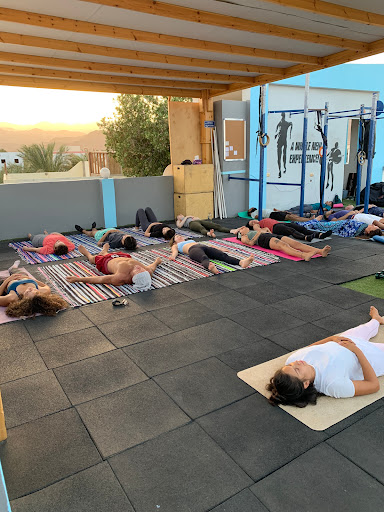 Sharkfit Dahab