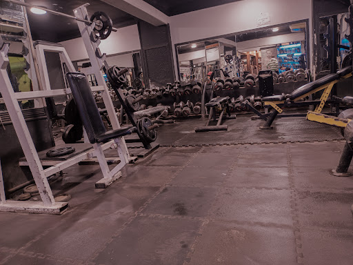 Bulk Gym