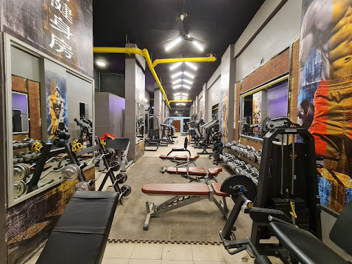 Body Fit Gym