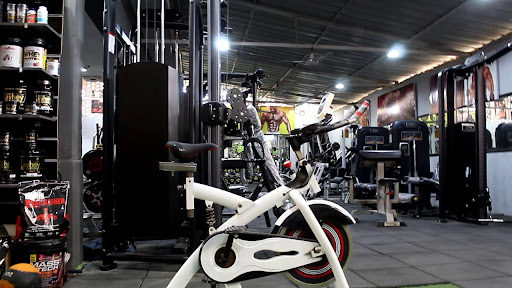 joe gym