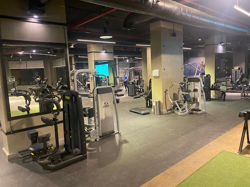 Body Factory