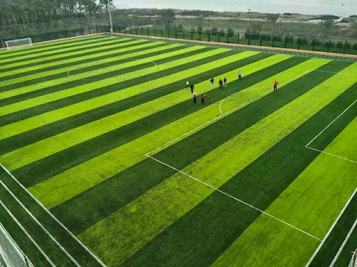 El Maddyya Sports Club  the Ministry of Youth and Sports  Edku Center Lake