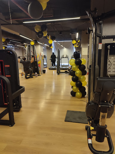 X FIT GYM