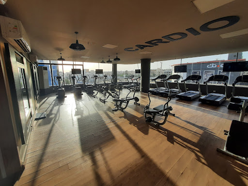 VEIN GYM