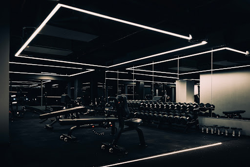 The DFN Gym