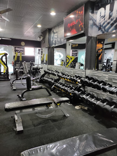 Classic Gym