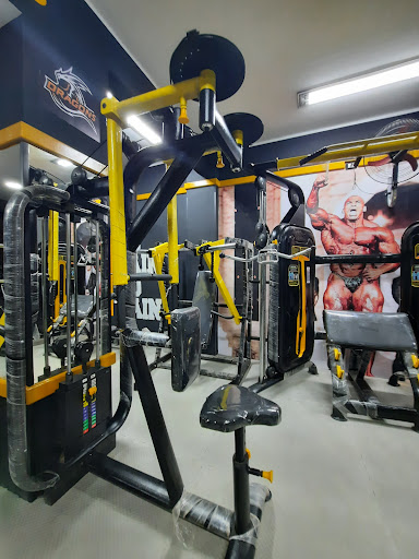 DRAGONS Gym