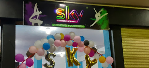 Sky Gymanstics Academy