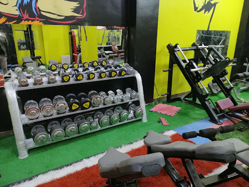 Power Gym