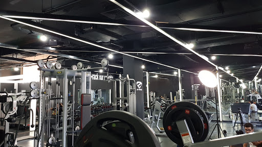 Z Fitness