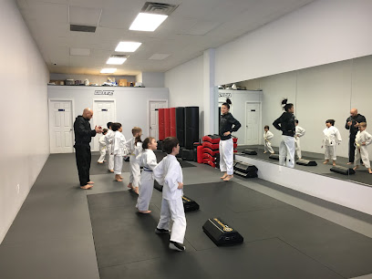 Blitz Dojo Martial Arts and Fitness