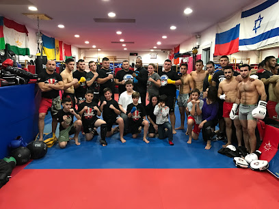 Lions Fight Martial Arts