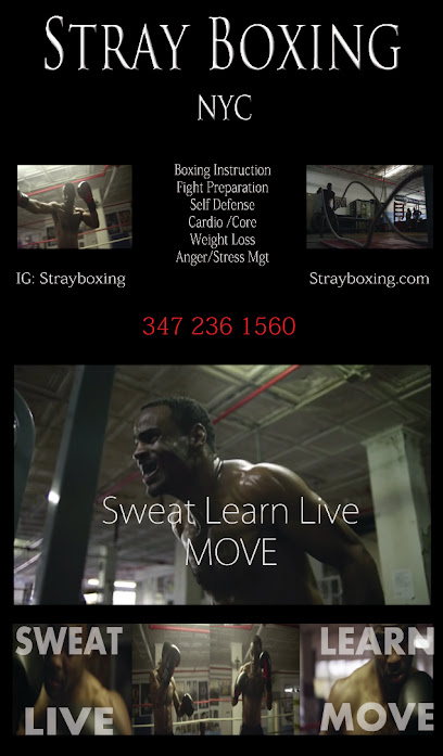 Stray Boxing Clinic