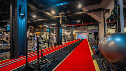 Sports Lab NYC